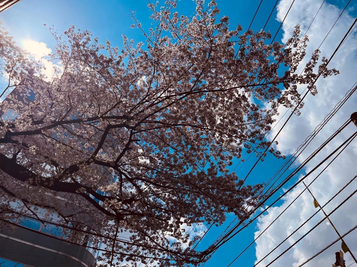 Affittacamere 池袋apila Tokyo